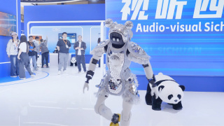 亚洲精品网站在线观看不卡无广告